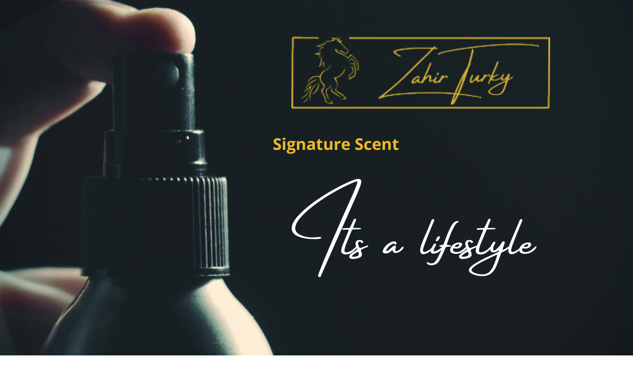 Zt Banner 6
